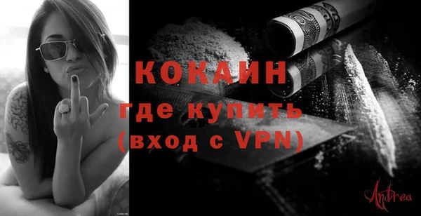 шишки Дмитровск