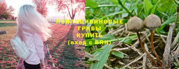 дурь Ельня
