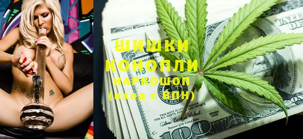 дурь Ельня