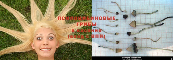 дурь Елизово