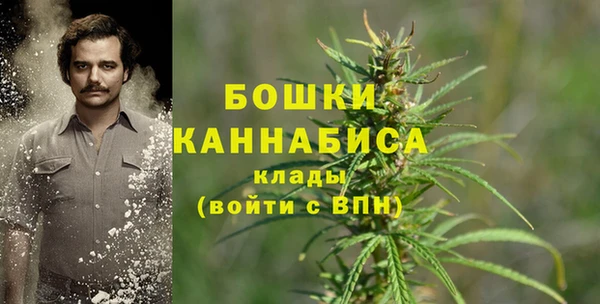 дурь Елизово