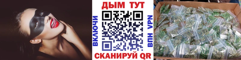 Купить закладки  Кисловодск  МАРИХУАНА SATIVA & INDICA